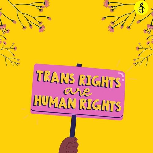 Pink sign against a yellow background which reads 'trans rights are human rights.'