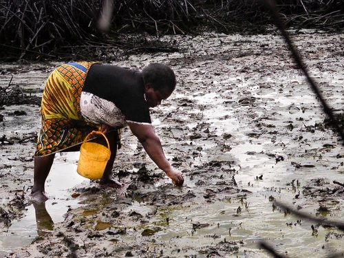 136247_cecilia_teela_used_to_collect_periwinkles_in_bodo.jpg