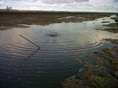 Oil spill at Bodo July 2012