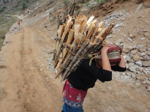 A woman carries wood in Mugu district, Nepal.