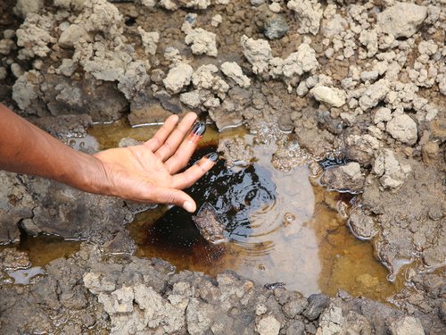 220526_niger_delta_shell_-_contaminated_land_0.jpg