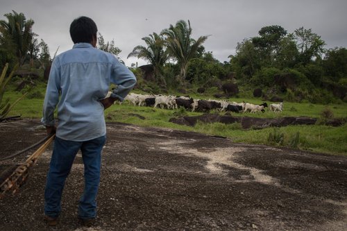 261965_Brazil_-_illegal_land_seizures_in_Indigenous_territories.jpg