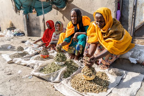 Older women at a market - Borno State, northeast Nigeria