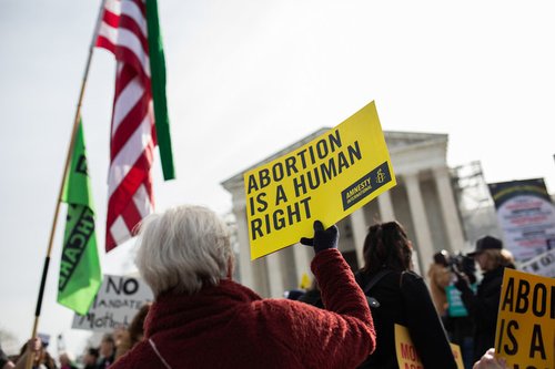 Protester holds placard saying 'Abortion is a human rights' in Washington DC