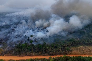 Aerial view of an illegal fire in the Amazon rainforest on the banks of the BR-230 (Transamazon Highway), near the city of Labrea, Amazonas state, northern Brazil, taken on September 4, 2024.