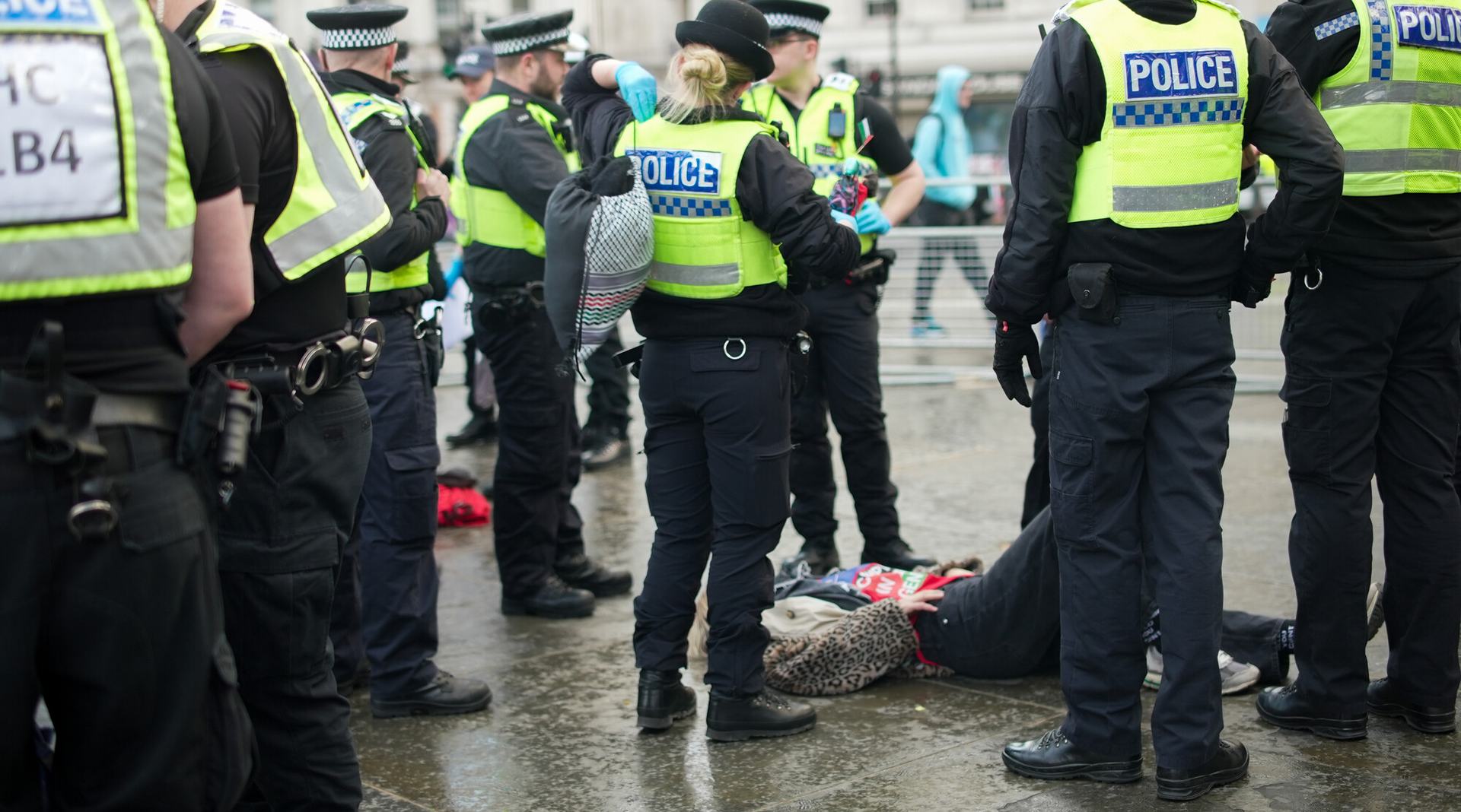 Defend Our Juries 11th April Peaceful Protesters UK Arrested for holding signs photos - 315866 - No expiry