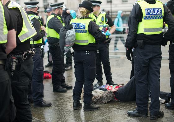 Defend Our Juries 11th April Peaceful Protesters UK Arrested for holding signs photos - 315866 - No expiry