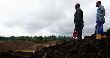 530x282_niger_delta_.jpg