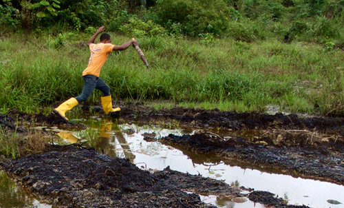 548x331_219638_niger_delta_.png