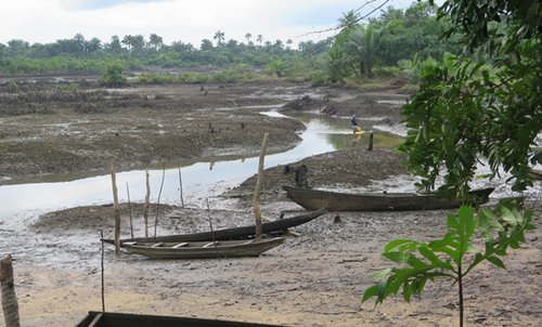 548x331_220552_niger_delta_shell_-_polluted_creeks_at_kegbara_der.jpg