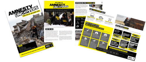 Amnesty Uncovers update example
