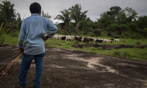 Brazil_-_illegal_land_seizures_in_Indigenous_territories_0.jpg