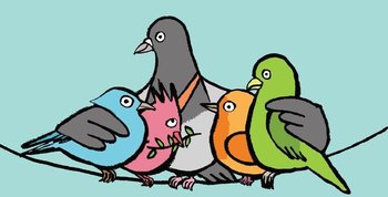 The Imagine pigeon