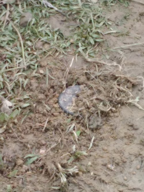 Myanmar20landmines.jpg