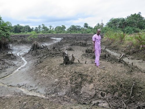 Niger20Delta20pollution20credit20Amnesty20International_0.jpg