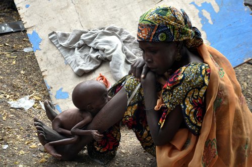 Nigeria20Boko20Haram20report2028May20201829_0.jpg