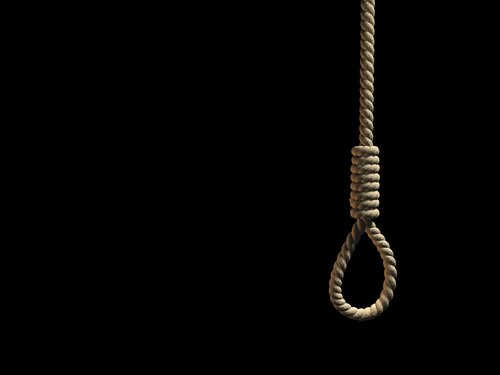 Noose_0_oz2e45s.jpg