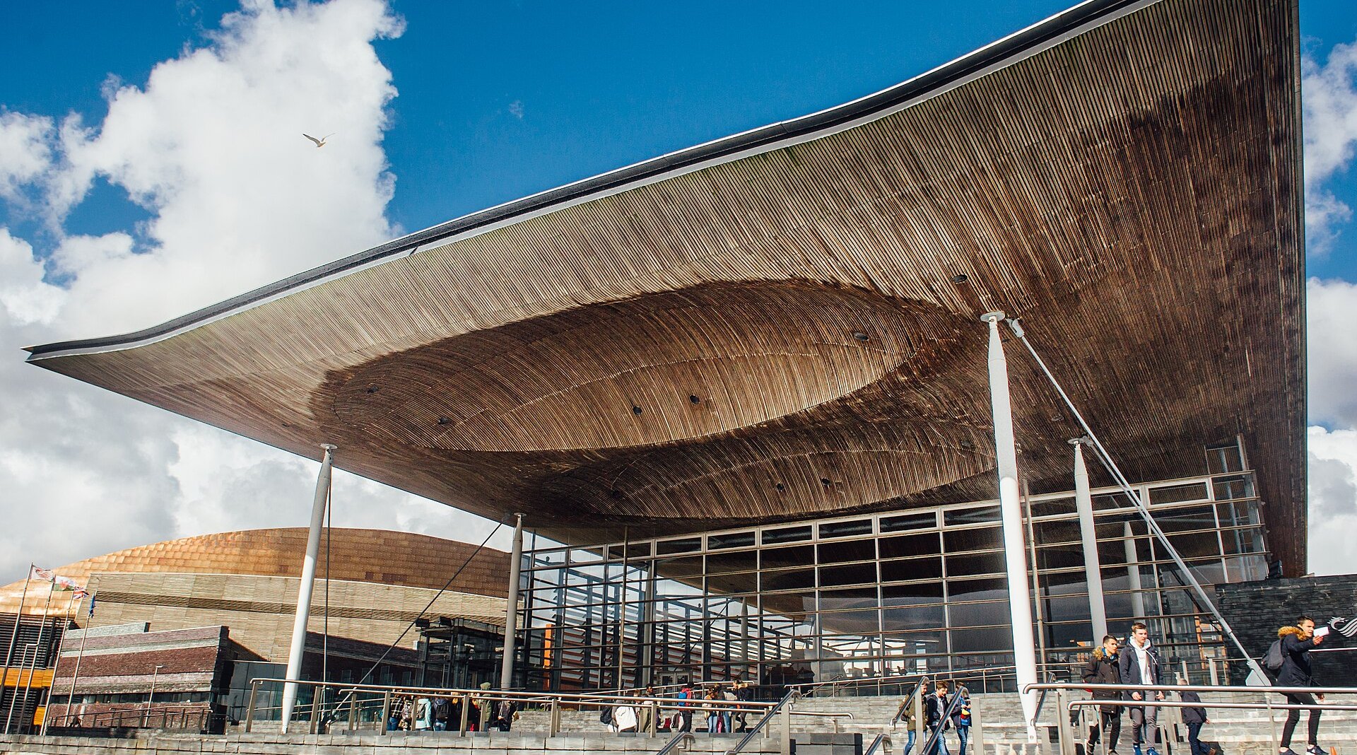 Y Senedd