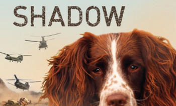 Shadow book cover