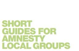 Short guides for Amnetsy local groups