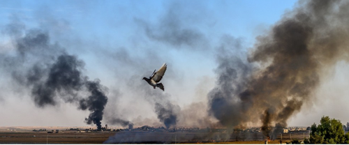 Turkey_in_Syria_-_press_release.PNG