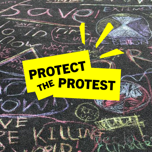 Text reads 'protect the protest' against a background image of climate protest messages written on the road in colourful chalk