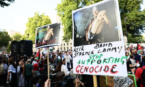 Placards at a pro-Palestine protest in London