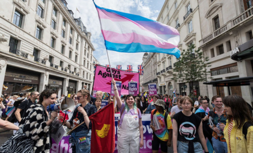 Trans flag being flown at Pride march