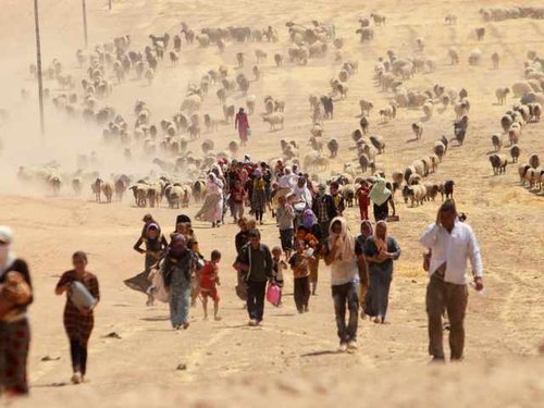 _from_minority_yazidi_sect_fleeing_violence_from_forces_loyal_to_islamic__cYB7YRb.jpg