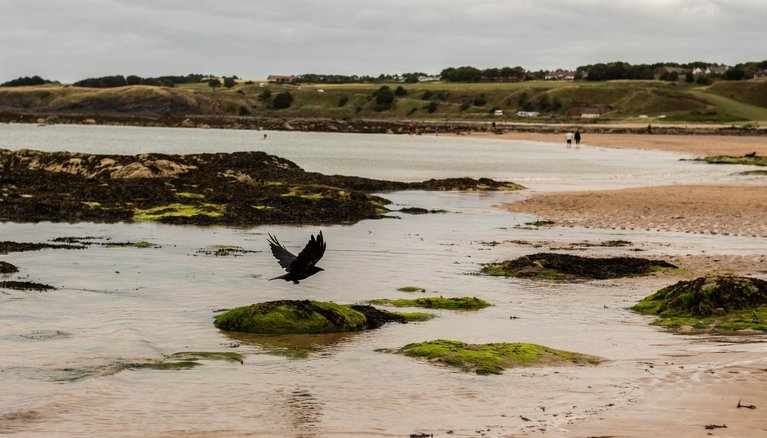 berwick - unsplash