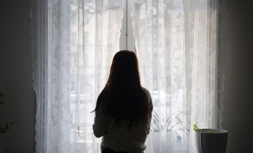 domestic548_1.jpg