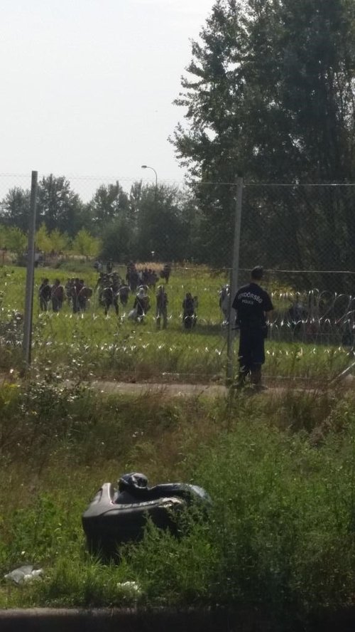 fence_and_gun.jpg