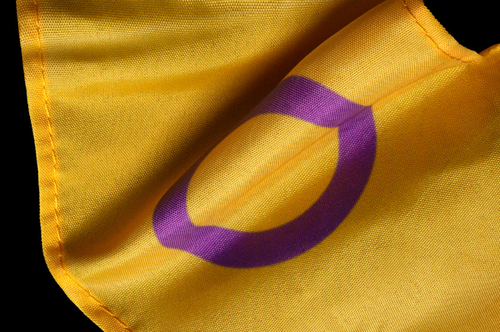 Intersex flag