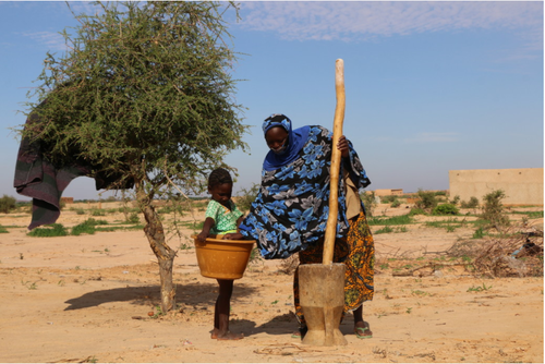 niger_pr_image_0.PNG
