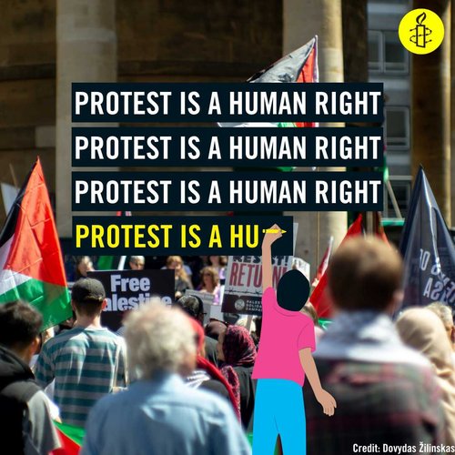 Protesters demonstrating against the genocide in Gaza shown with slogan 'Protest is a human right' written across the image several times