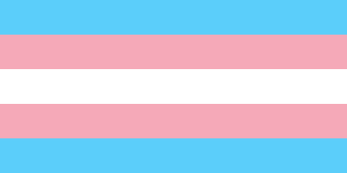trans20flag.png
