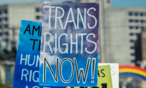 trans20rights20now.png