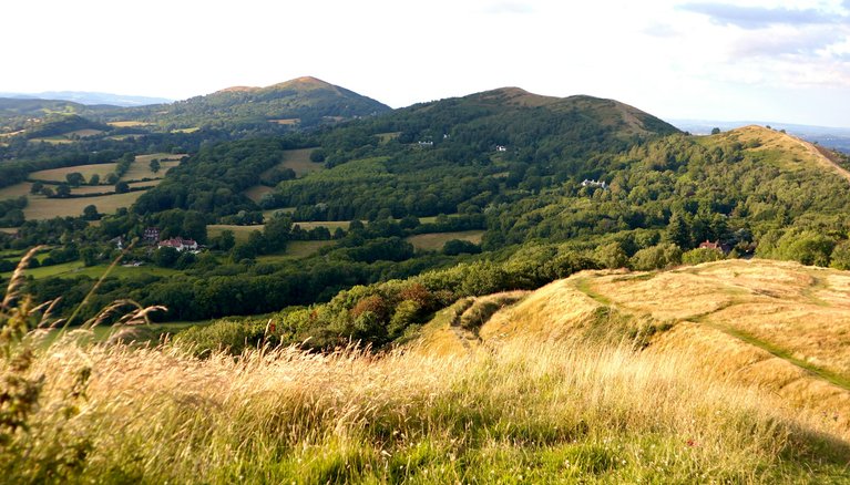 A green hillside in Worcestershire