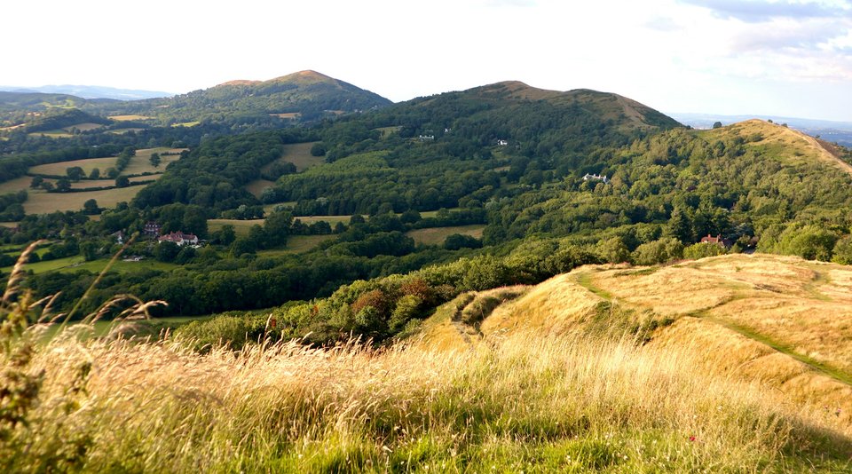 A green hillside in Worcestershire